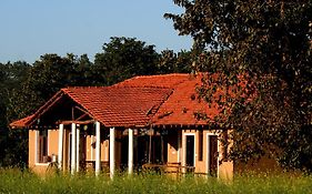 Chitvan Jungle Lodge Kanha